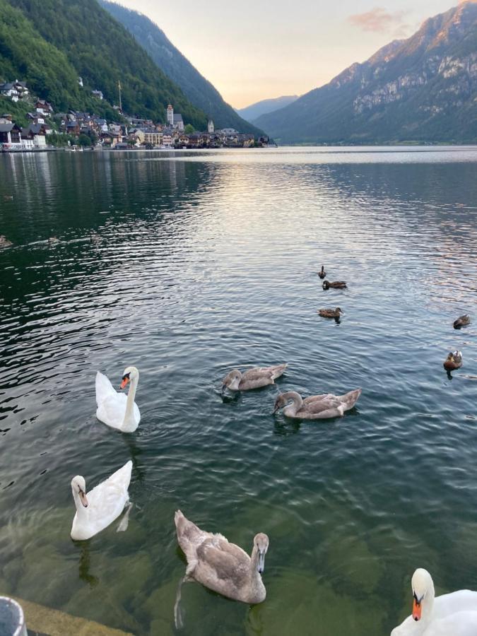 Hallstatt Lakeside Top 4 Exteriör bild